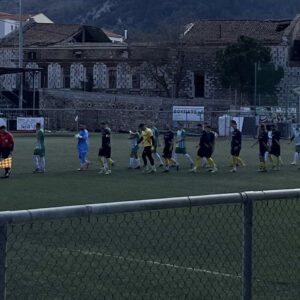 9FAED3C0-1B0A-41DC-8D12-B7EFB577103D